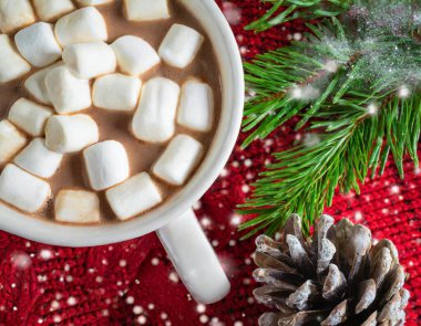 Kakao, kahve, hediye, köknar dalı, fındık, koni, sıcak örgü battaniye. Kış, Yeni Yıl, Noel