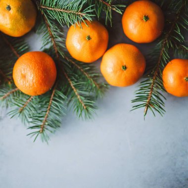 Mandarin köknar dalları arka planda zencefilli Noel minimalizmi çerçeve topları. Yüksek kalite fotoğraf