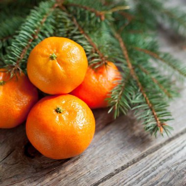 Mandarin köknar dalları arka planda zencefilli Noel minimalizmi çerçeve topları. Yüksek kalite fotoğraf