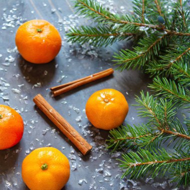 Mandarin köknar dalları arka planda zencefilli Noel minimalizmi çerçeve topları. Yüksek kalite fotoğraf