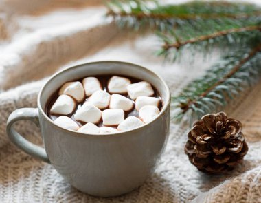 Kakao, kahve, hediye, köknar dalı, fındık, koni, sıcak örgü battaniye. Kış, Yeni Yıl, Noel