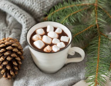 Kakao, kahve, hediye, köknar dalı, fındık, koni, sıcak örgü battaniye. Kış, Yeni Yıl, Noel
