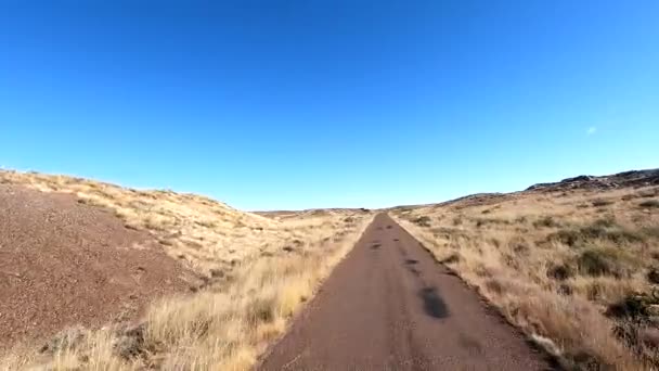 Zniknąć Arizonie Odległej Jednopasmowej Autostradzie Rzeźbiąc Słonecznej Pustyni Kaktusy Niekończący — Wideo stockowe