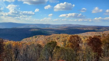 Bu nefes kesici fotoğraf Arkansas 'taki Ozark Dağları' nın ihtişamını yansıtıyor. Sonbahar yaprakları mavi gökyüzüne ve yuvarlanan tepelere karşı çarpıcı bir kontrastlık yaratır.. 