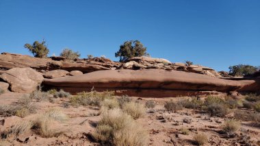 Utah, Canyon Lands Ulusal Parkı 'ndaki Gemini Köprüleri yakınında güzel bir Kızıl Kaya oluşumu.
