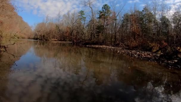 Окунитесь Дикую Природу Арканзаса Исследуйте Природную Красоту Гор Озарк Поездка — стоковое видео