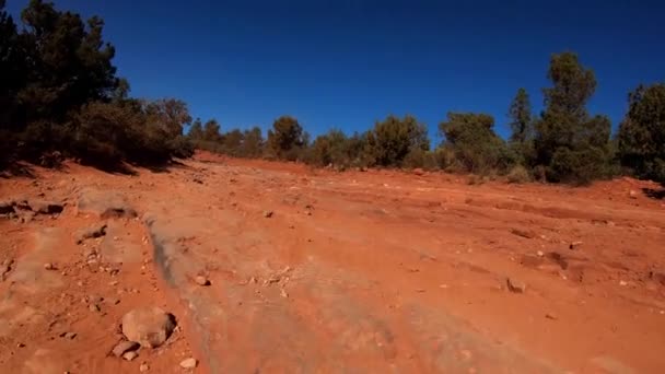 Vzrušující Pohled Přední Sedadlo Dry Creek Mimo Silniční Stezku Sedona — Stock video