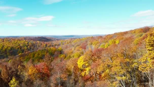 在秋天的杰作之上翱翔 在宾夕法尼亚卡梅隆县的Salrun Vista上空 无人驾驶飞机喷出炽热的挂毯 金黄的叶子闪耀在崎岖的地平线上 — 图库视频影像