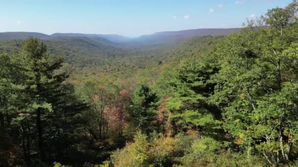 Drone Shot New Lancaster Valley Bald Eagle Forest Pennsylvania Inglés — Vídeo de stock
