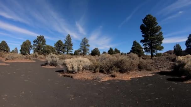 Arizonada Sönmüş Bir Volkan Olan Maroon Krateri Nin Tabanının Diğer — Stok video