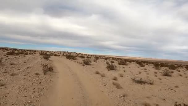 坐在方向盘后面 在加州的莫哈沙漠享受沙漠之旅 — 图库视频影像