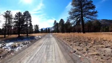 Ön koltuk POV, Arizona 'nın Coconino Ulusal Ormanı' nın 4x4 'ü dev Ponderosa Pines' ın arkasındaki görkemli San Francisco Tepelerini gözler önüne seriyor..