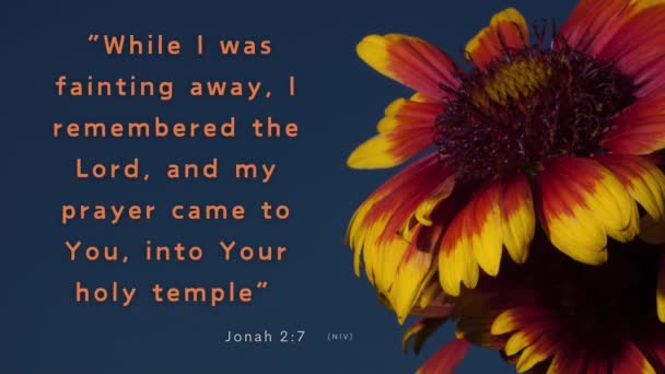 Eine Einzige Große Blume Sprießt Auf Und Der Bibelvers Jona — Stockvideo