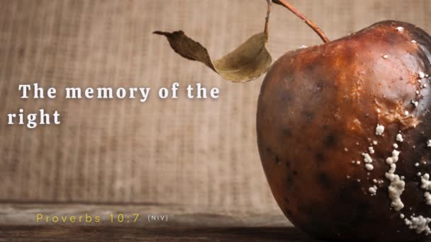 Prohnilé Jablko Biblickým Veršem Přísloví Jméno Spravedlivých Používá Požehnání Ale — Stock video