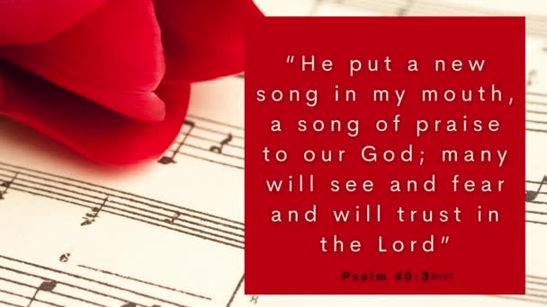Een Rode Roos Een Muziekplaat Volgende Bijbeltekst Weergegeven Psalm Die — Stockvideo