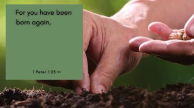  Bir bahçeye tohum ekmek, İncil 'deki 1. ayet Peter 1: 23' le birlikte 