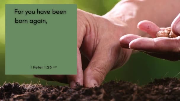 庭に種を植える 聖書の詩1ペテロ1 あなたは再び生まれました 神の生きた永続的な言葉を通して 霊的な再生と神の言葉の不可欠な性質の祝賀 — ストック動画