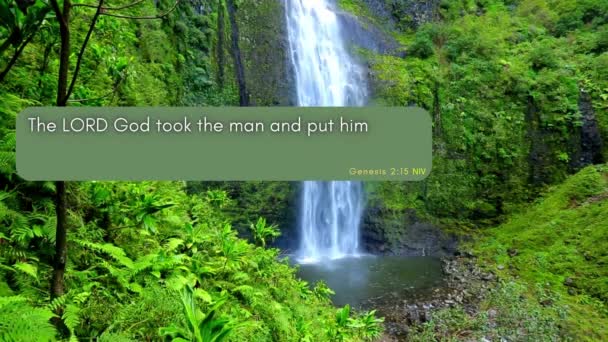 Een Verbluffende Waterval Met Het Bijbelvers Genesis Het Rentmeesterschap Van — Stockvideo