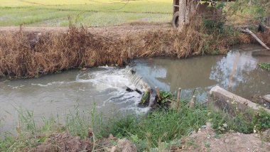 Doğa sahnesinin resimsel görüntüsü