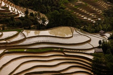Haziran 'da Kuzey Vietnam' da Rize
