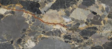 İç ev dekorasyonu için Duvar Dekor, Banyo için Seramik Karo Tasarımı. seramik karo, duvar kağıdı, muşya, tekstil, web sayfası arka plan için kullanılabilir.