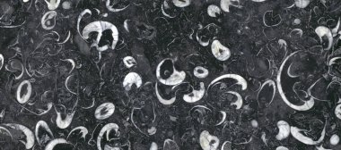 Renkli, cilalı, yarı değerli taşlardan dilimler. Yarı değerli taşlar arka plan.