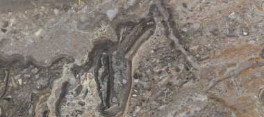 Siyah mermer arka planda desenli. Koyu gri mermer dokusunda altın ve beyaz desenli. Siyah Pietra İtalyan mermer dokusu. Siyah mermer altın desenli lüks. koyu gri.