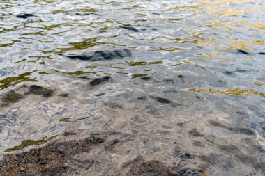 Bir dağ gölünün kenarındaki berrak suyu kapat. Kum ve çakıl taşları ön plandaki su yüzeyinin altında görülebilir. Suyun yüzeyi dalgalanıyor ve dalga desenleri var..