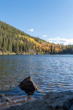 Bir sonbahar günü, öğleden sonra güneş ışığında, bir dağ gölünün karşısındaki kavak ağaçlarının değişen yapraklarına bakıyorum. Yakın kıyıdan kayalar ön planda görülebilir. Göl sakin ve sakin..