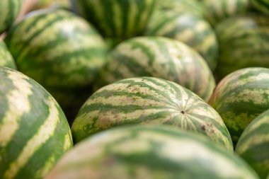 Bir çiftçi pazarında sergilenen olgun karpuzların ayrıntılarını kapat..