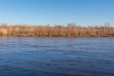 New Mexico 'daki Rio Grande Nehri' nin sularından parlak ve açık bir kış gününde gökyüzünün maviliği nehrin yüzeyine yansıyor..