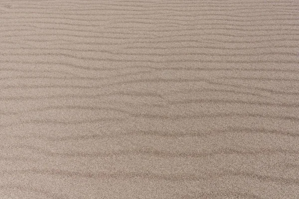 Background image of desert sand with a rippling wave pattern that stretches horizontally across the image.