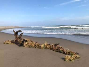 Doğanın güzel manzarası