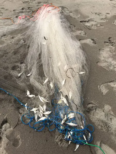 Plajda plastik torba ve ağ.