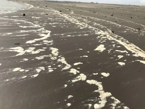 Sahildeki beyaz kumların güzel bir görüntüsü.