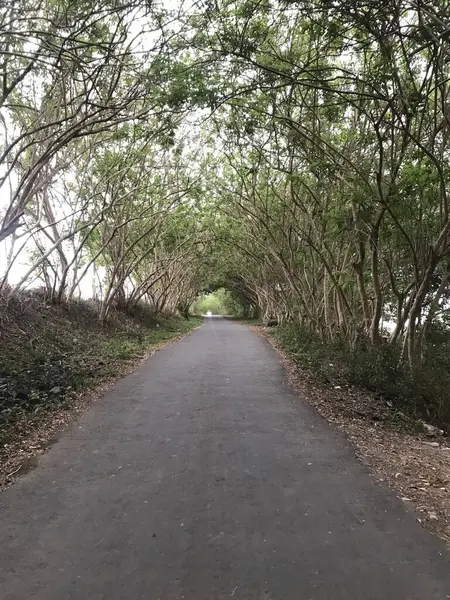 Parkın güzel manzarası