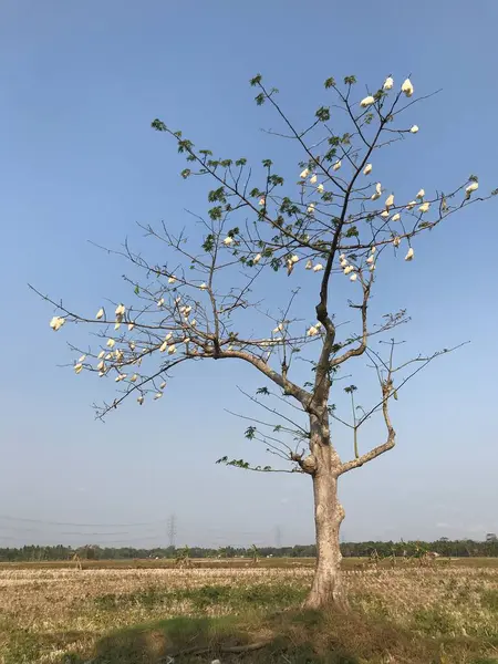 Doğanın güzel manzarası
