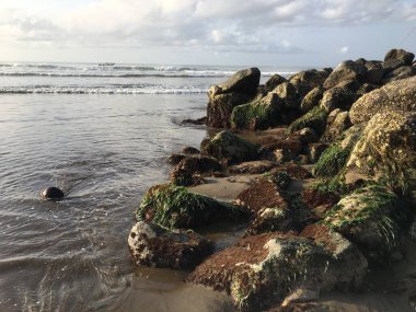 Kayalık bir sahil, kayalık bir duvar ve bir su kütlesi.