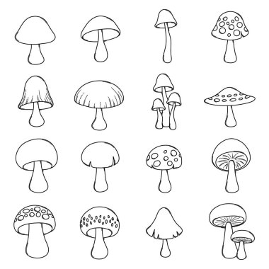 Mantar mantarı vektör ikonu ayarlandı. Çizim çizimi el çizimi çizimi çizimi.