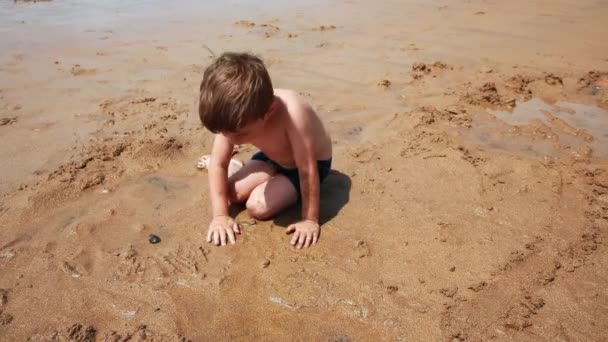 Menino Brinca Com Areia Água Praia — Vídeo de Stock