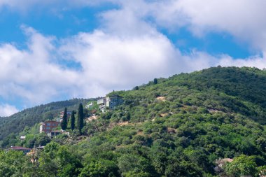 Lush Green Hill 'e kurulmuş binalar