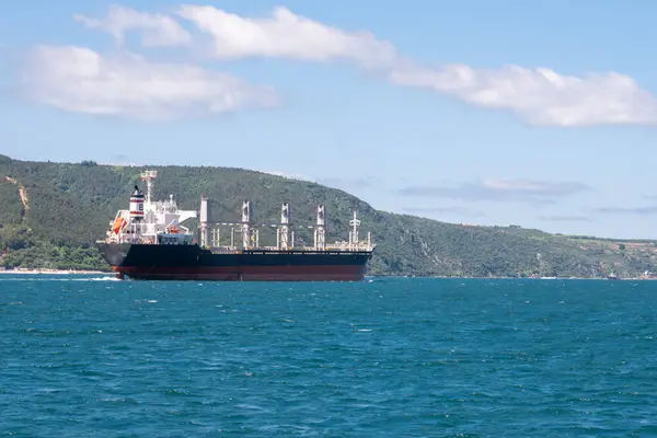 Kargo Tankeri Denizde Sakin Sularda Geziniyor