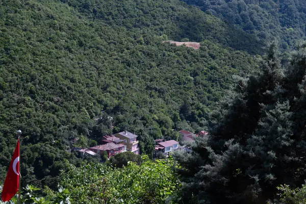 Ormanın Kalbine yerleştirilmiş Büyüleyici Köy