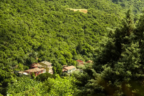 Yoğun Orman Arazisi İçinde Küçük Bir Köy