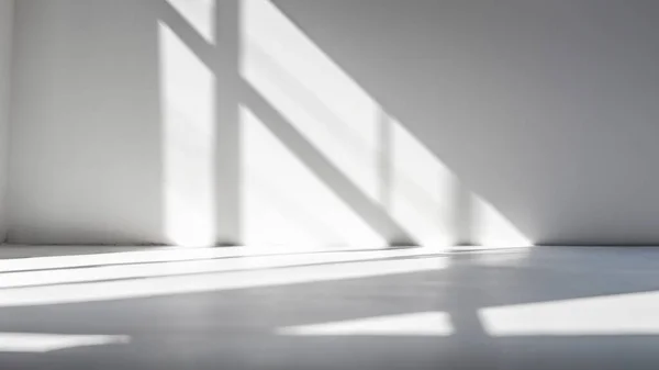 Minimalist Shadows on White Studio Floor Background