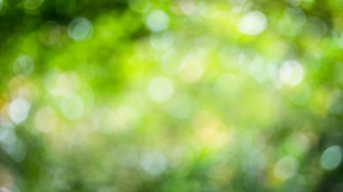 Bulanık yeşil bokeh arkaplanı
