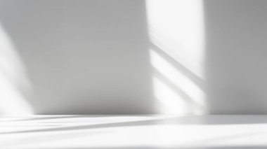 Sunlit Minimalist Room with Window Shadows on White Wall and Floor