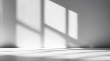 Minimalist Room with Window Shadows on White Wall and Floor