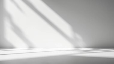 Minimalist Room with Soft Window Shadows on White Wall Background