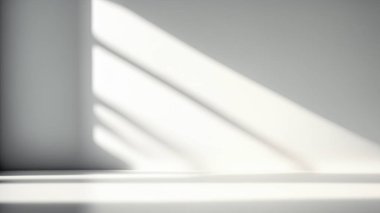 Sunlit White Empty Studio Space with Gentle Shadows From Window